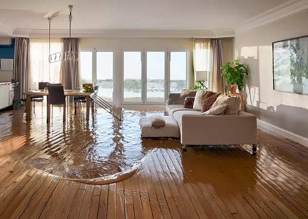 Your Trusted Water Removal Specialists in Alpharetta, GA