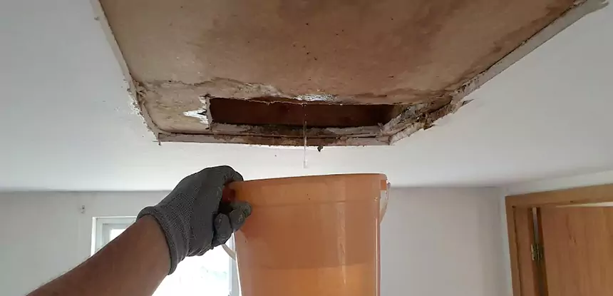 Ceiling Mold Repair Alpharetta